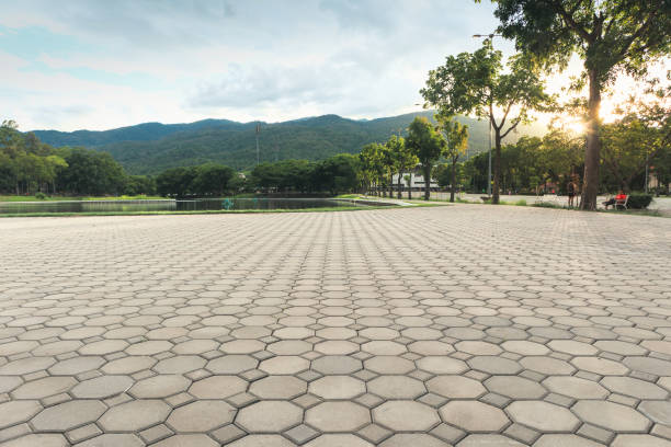 Best Best Driveway Pavers  in Bloomfield, MO